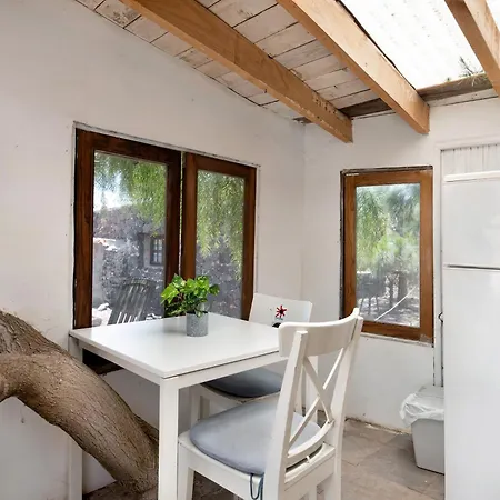 Aloe Art * Teguise (Lanzarote)